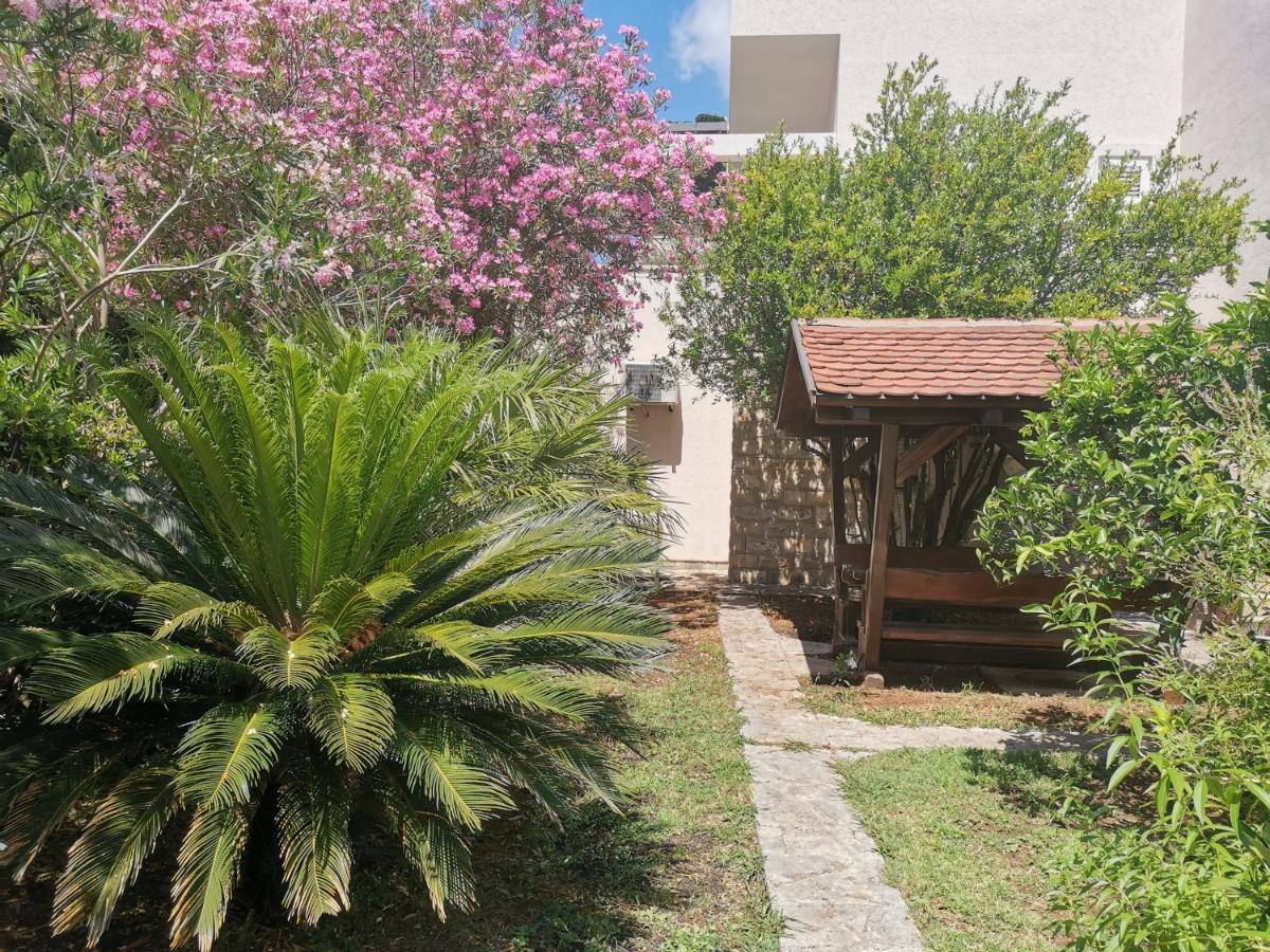 Apartments Maris Petrovac Extérieur photo