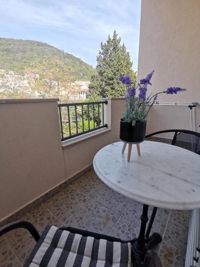 Apartments Maris Petrovac Extérieur photo
