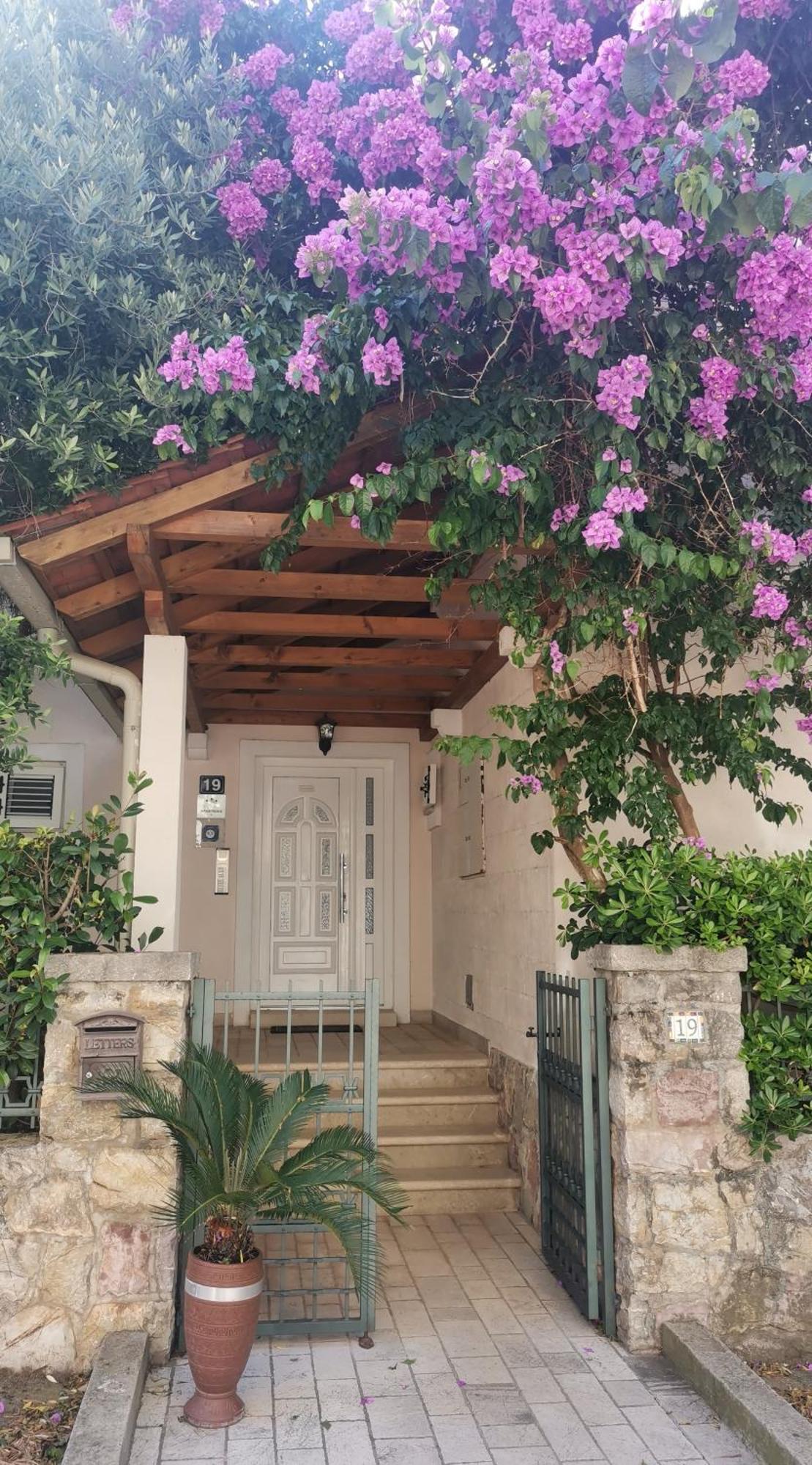 Apartments Maris Petrovac Extérieur photo