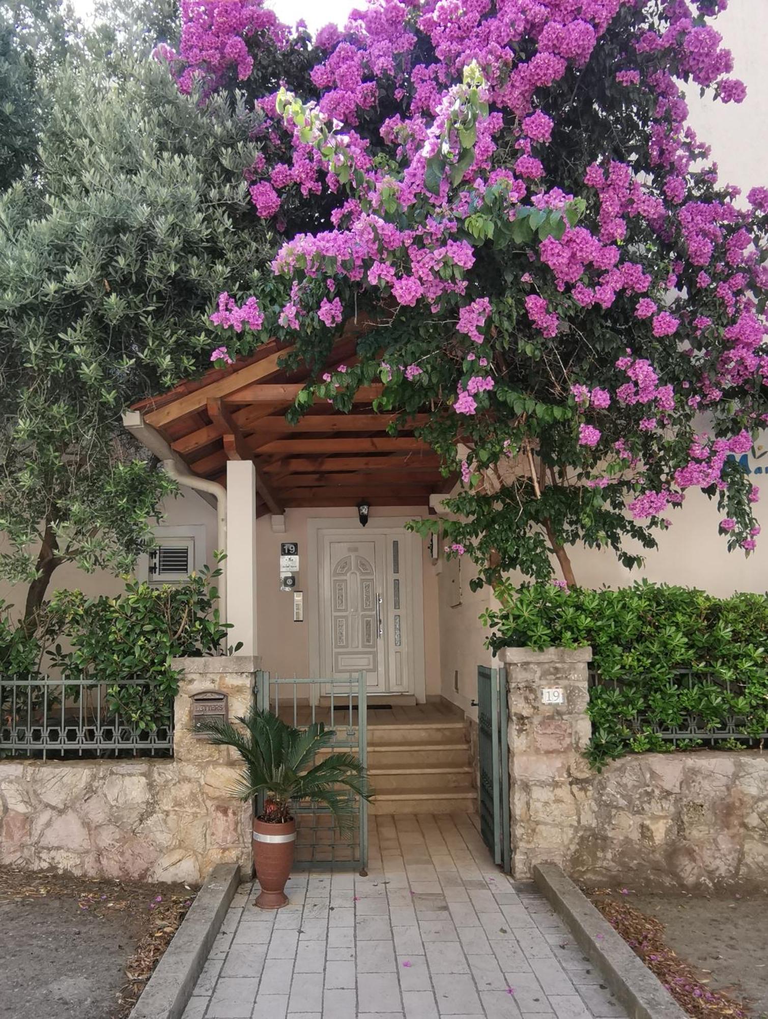 Apartments Maris Petrovac Extérieur photo