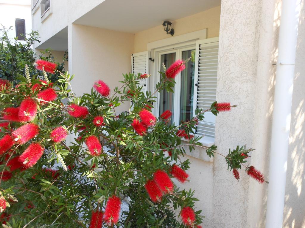 Apartments Maris Petrovac Chambre photo